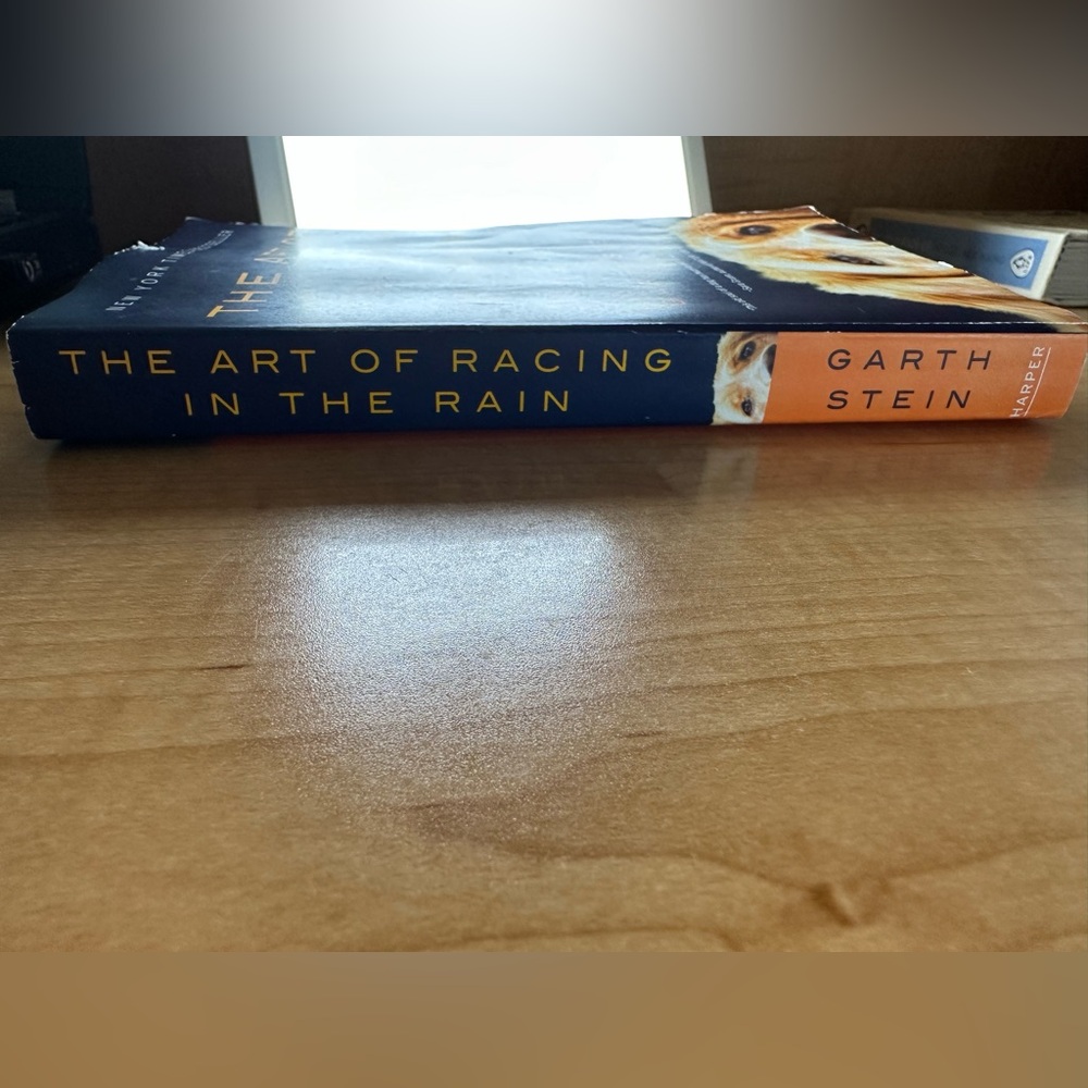 The Art of Racing in the Rain A Novel Garth Stein paperback NY Times best seller - Picture 10 of 10